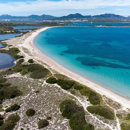Myrsine Mara By Klodge * Olbia