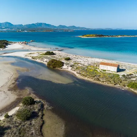Myrsine Mara By Klodge Olbia